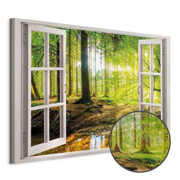 Tableau - Window: View on Forest