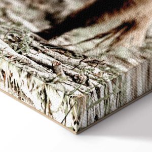 Tableau - Young Stag (1 Part) Vertical